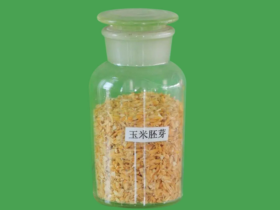 corn germ (1).jpg