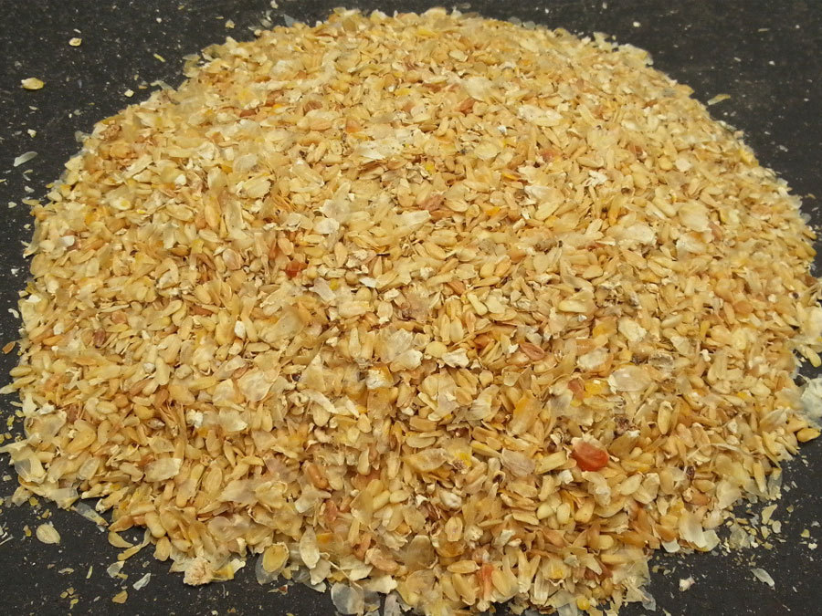 corn germ (2).jpg