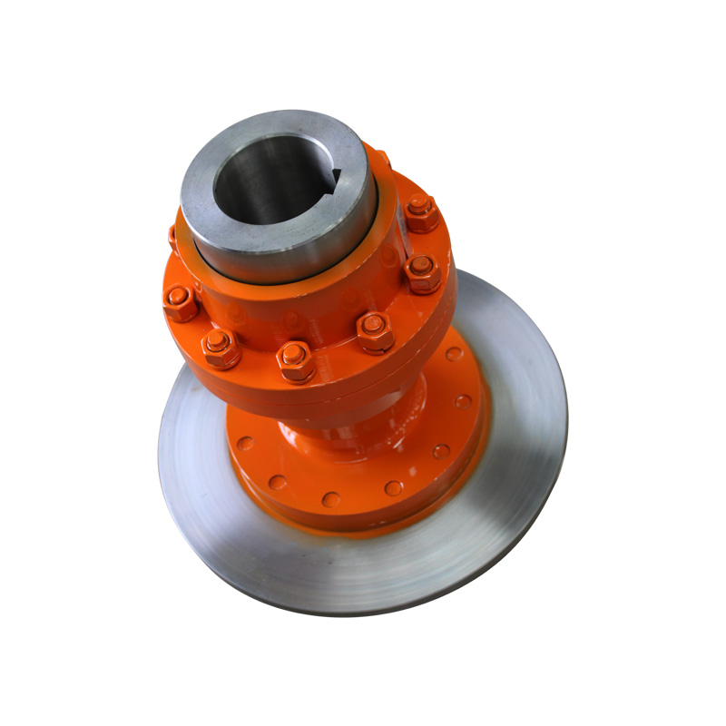 WGP Brake Wheel Drum Gear Coupling