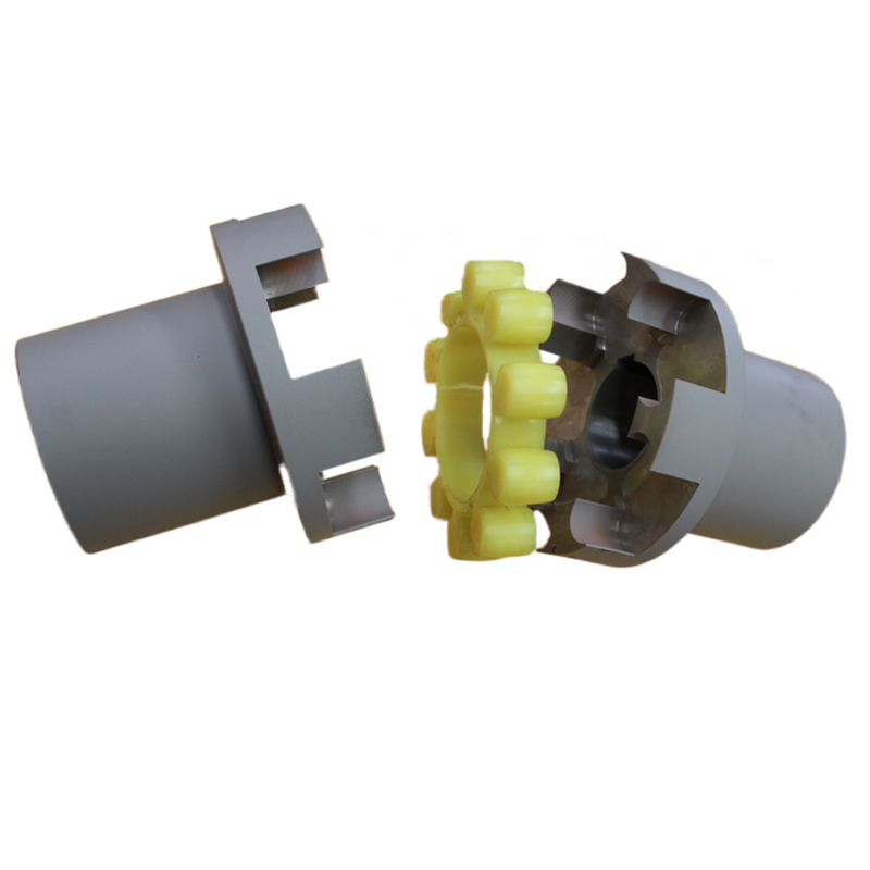 Mll11 Quincunx Elastic Coupling