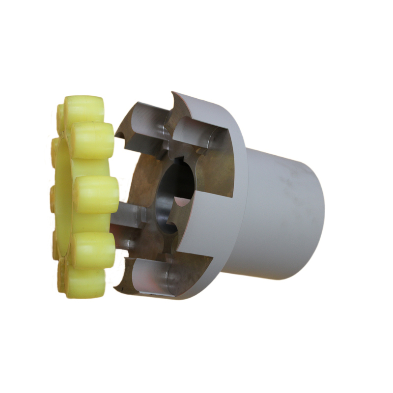 Mll11 Quincunx Elastic Coupling
