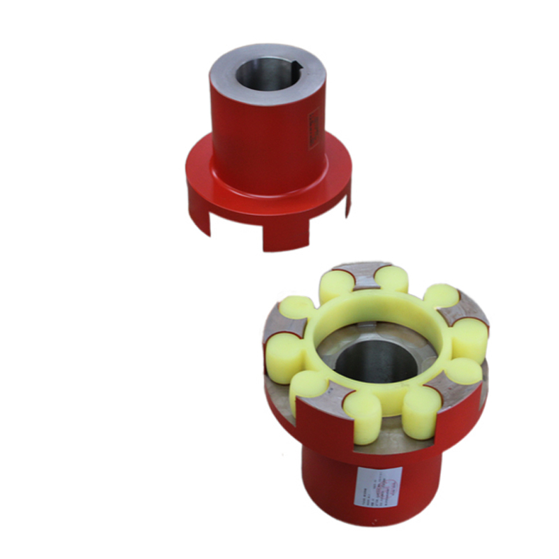 Mll11 Quincunx Elastic Coupling