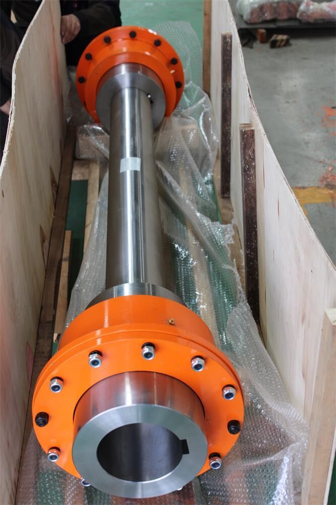 蛇形簧联轴器 (1).jpg