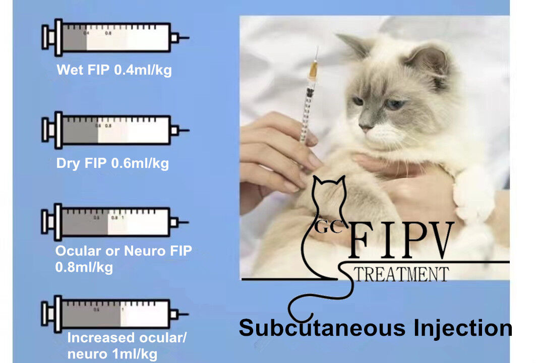 GS Injection GS441524 FIP Cat liquid Oral pill