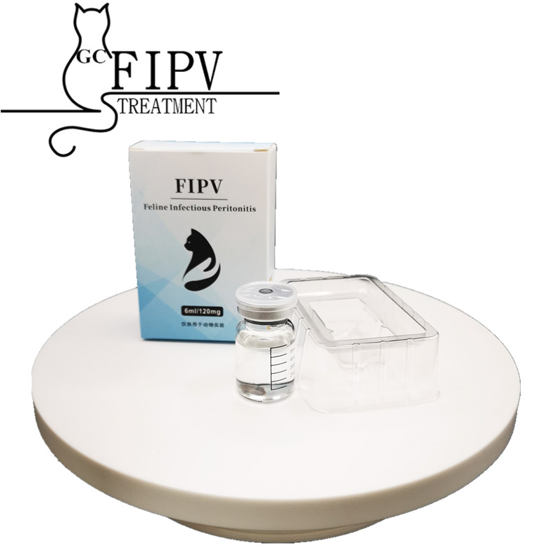 6ml GS 441 FIP Cat FIPV Amazing and Efficient