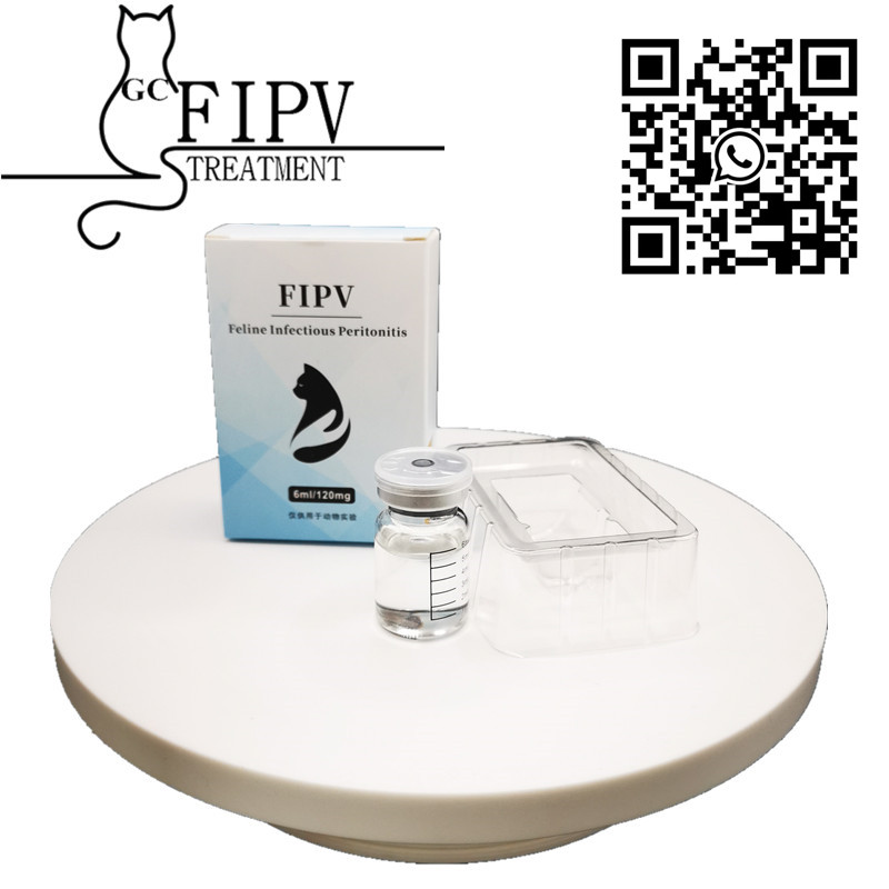 6ml GS 441 FIP Cat FIPV Amazing and Efficient
