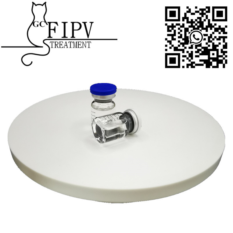 Cat Fip Injection GS Liquid 5.5ml in Stock and Safe Delivery