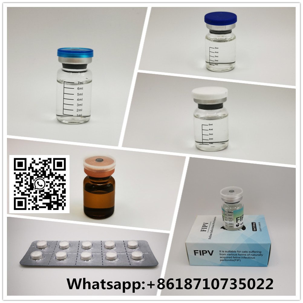 片 (3)_1000_副本_副本.png