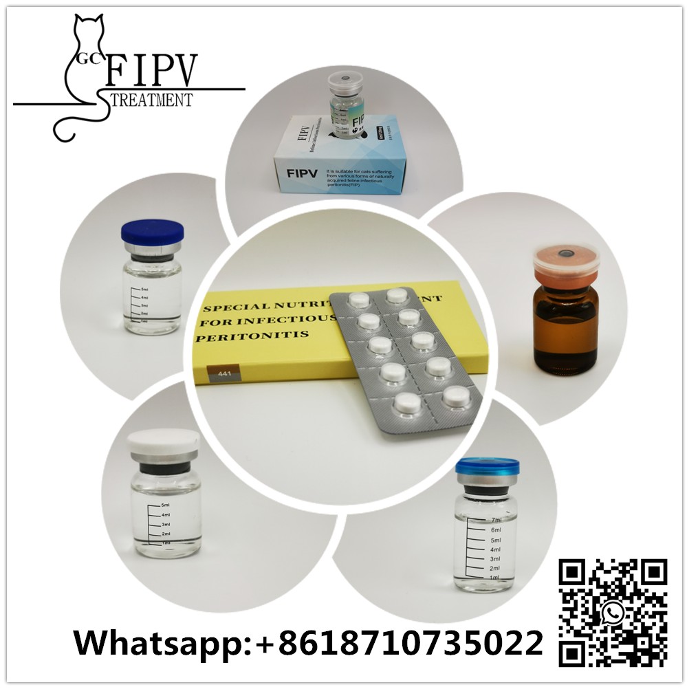 片 (3)_副本1000_副本_副本.png