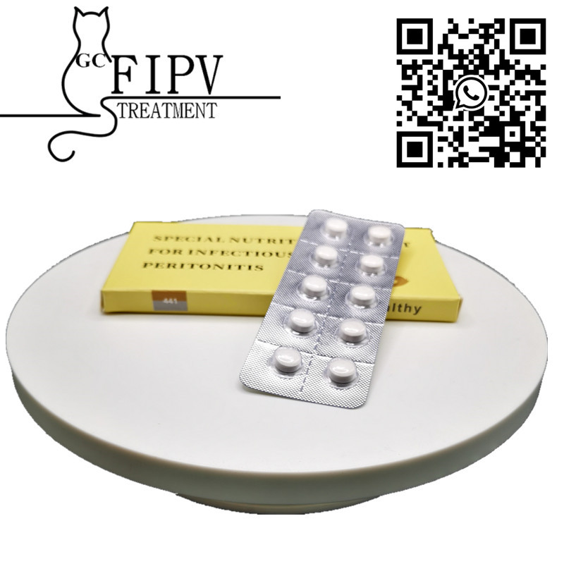 GC FIPV GS-441524 CAS:1191237-69-0 Oral Pill