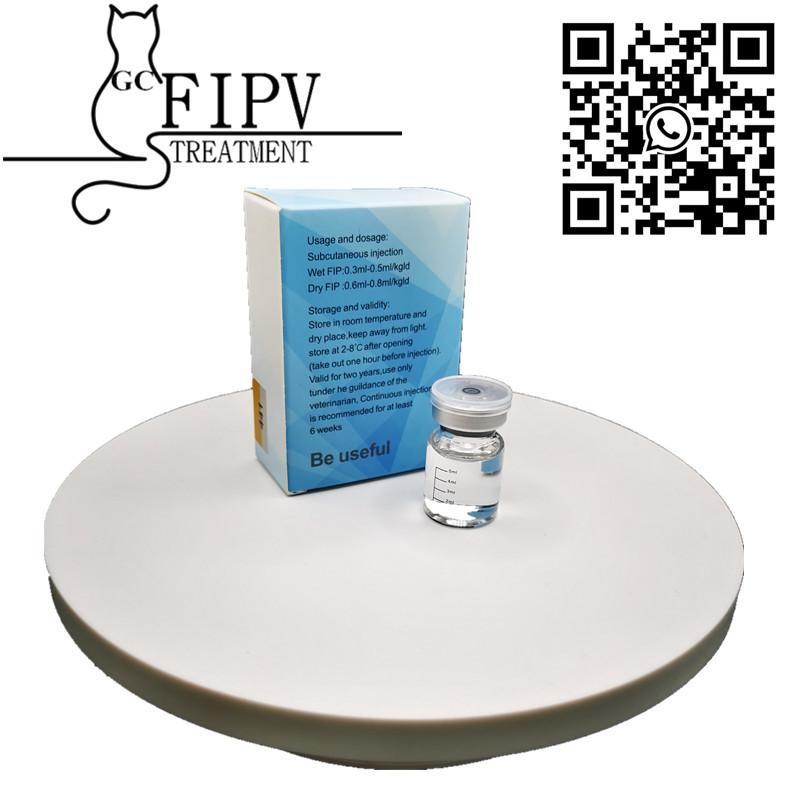 FIP Special treatment GS 441 20 mg/ml