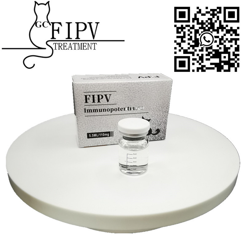 Fip Cat Cure FIPV GS441 injection liquid 1191237-69-0 