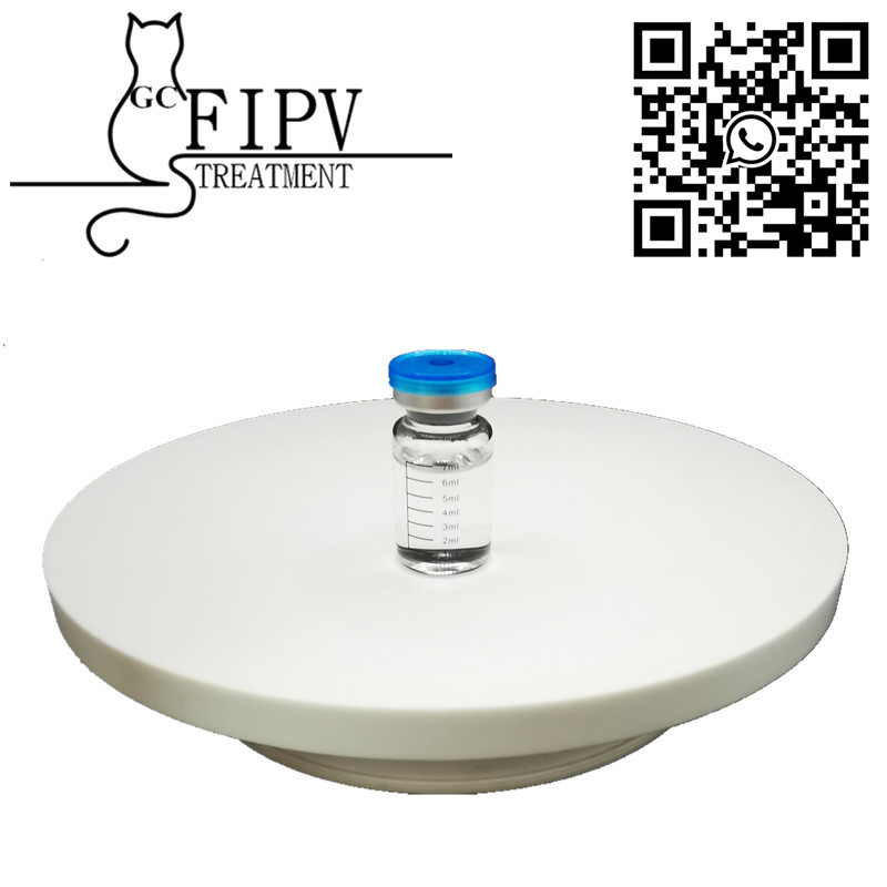 GS441 GS441524 Injection liquid for Cat FIP FIPV