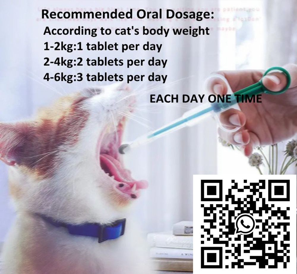 oral tablet.jpg