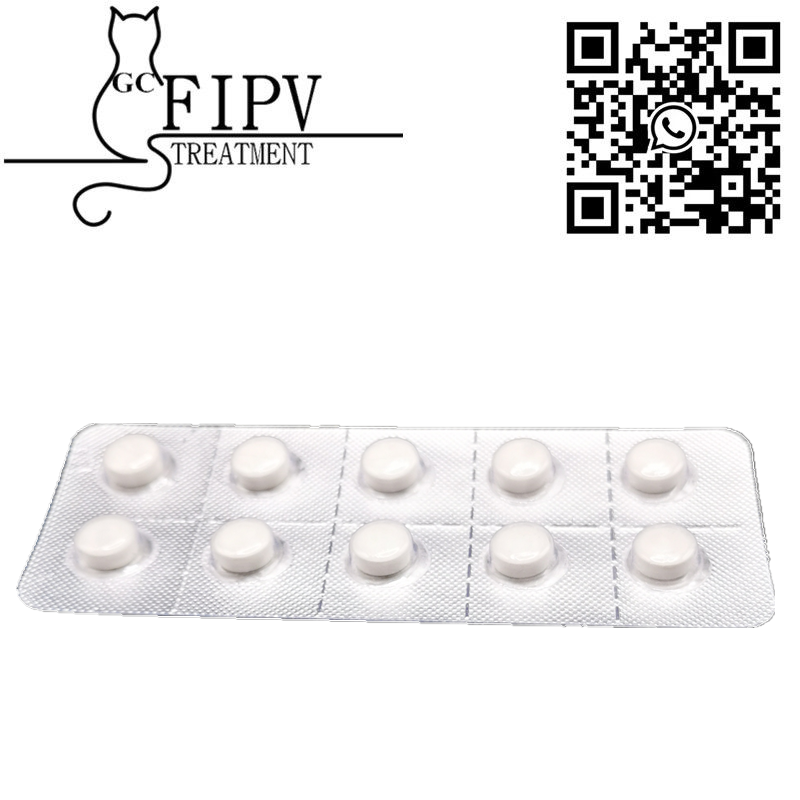 OEM Cat FIPV Vials Injection GS441524 GS441