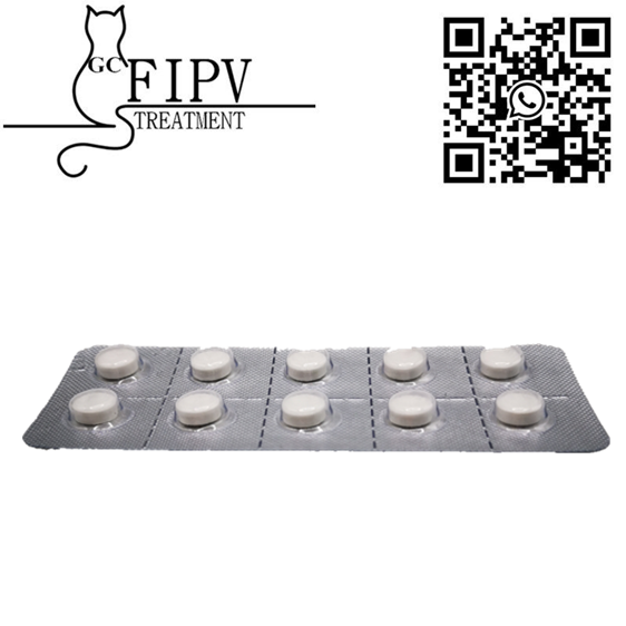 GS441524 CAS:1191237-69-0 GS441 Oral Tablet for Cat FIP