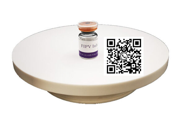 GS441524 for cat FIP