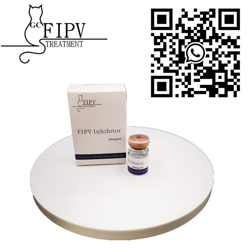 GS injection Cat FIP liquid GS441 GS441524