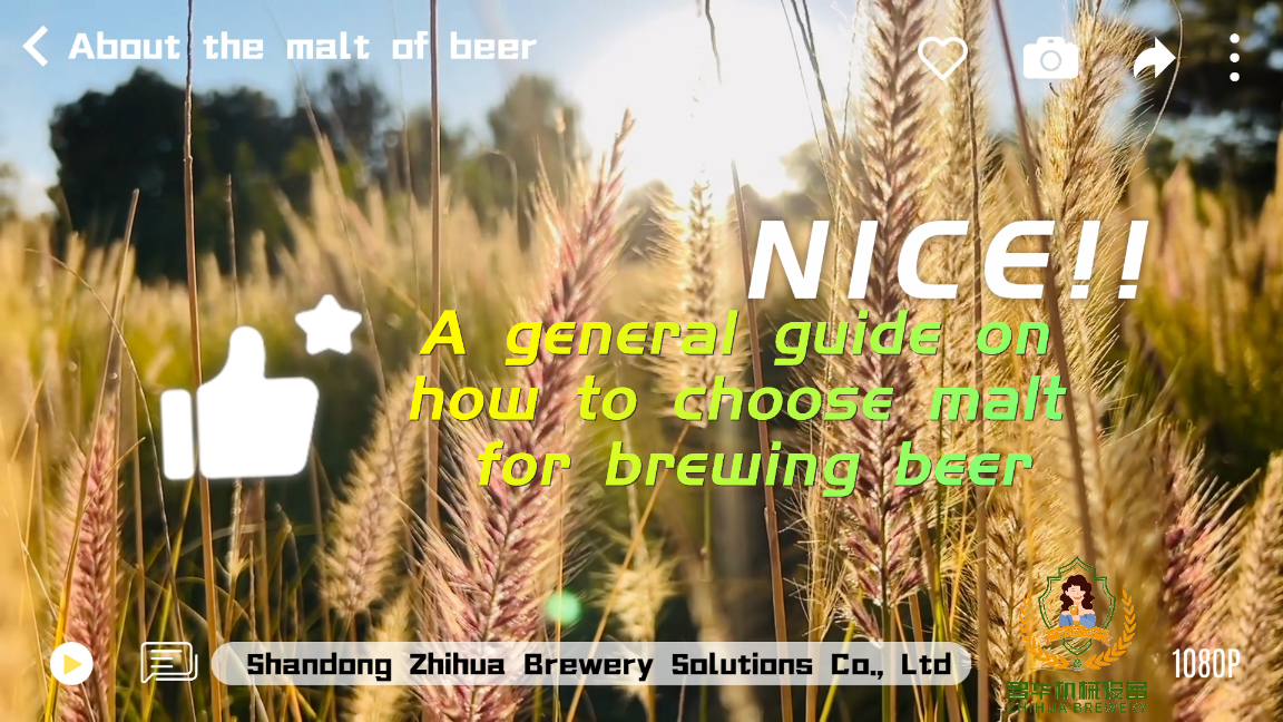 A general guide on how to choose malt for brewing beer