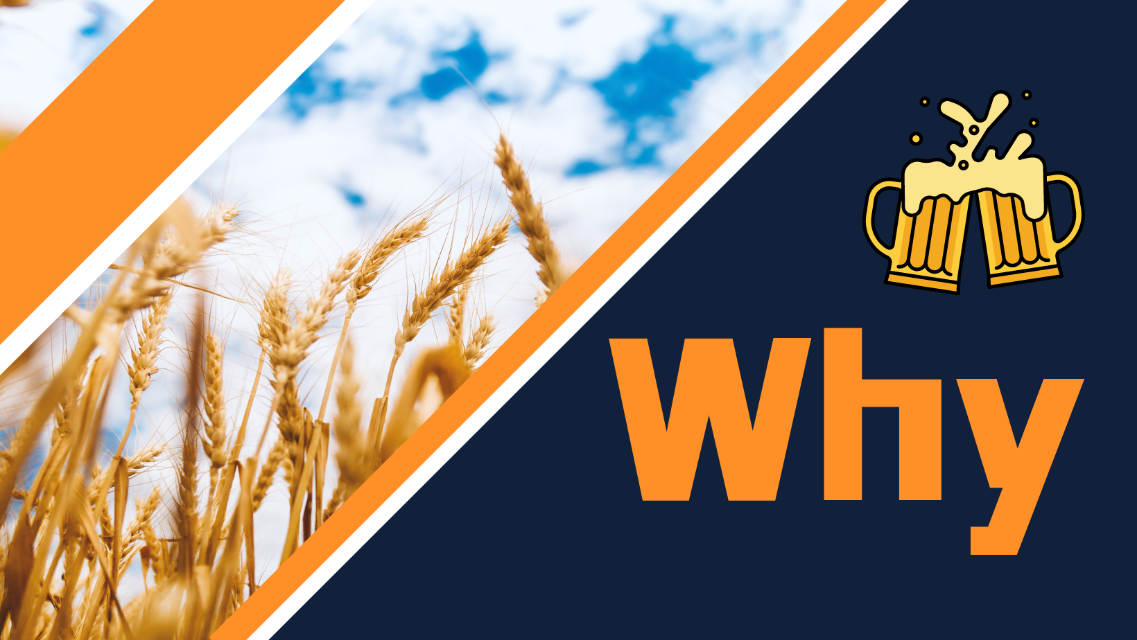 Why is barley used for making beer instead of other grains?