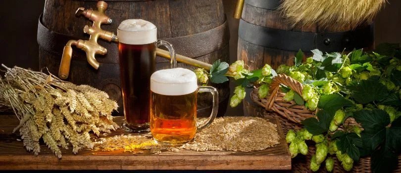 raw materials for brewing beer.jpg