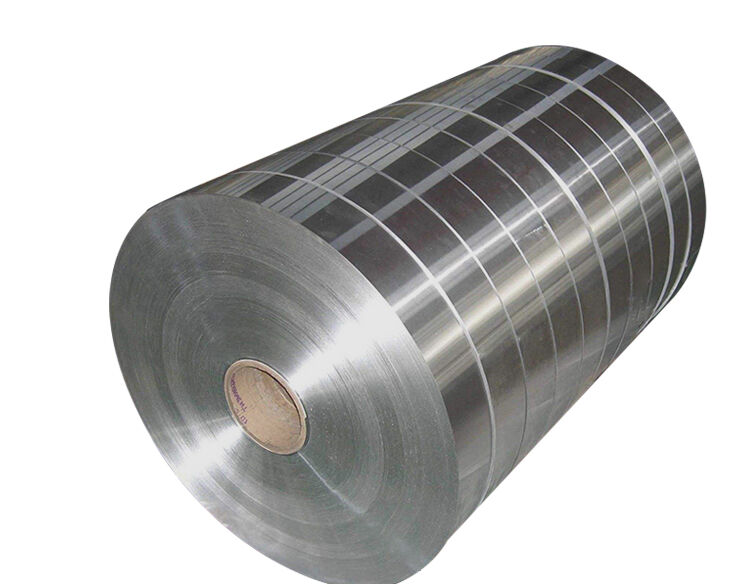 Stainless steel strip
