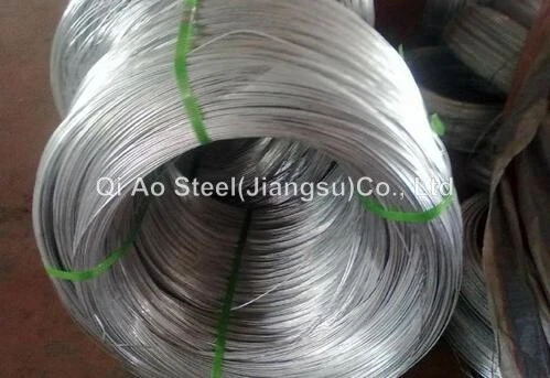 Stainless Steel Wire