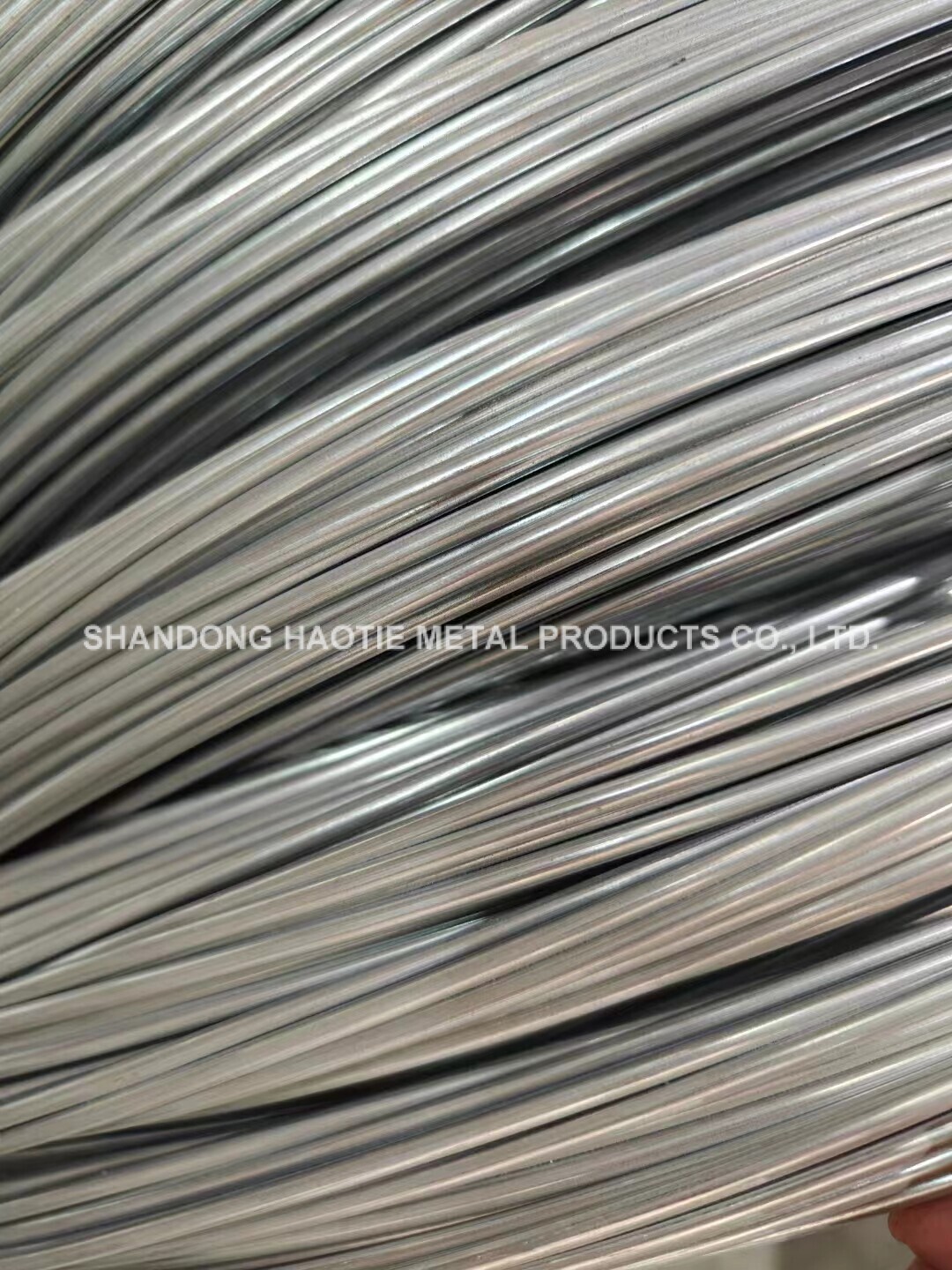Electro Galvanized Iron Wire