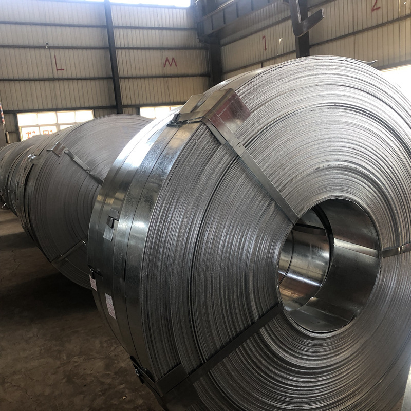 Stainless Steel Strips