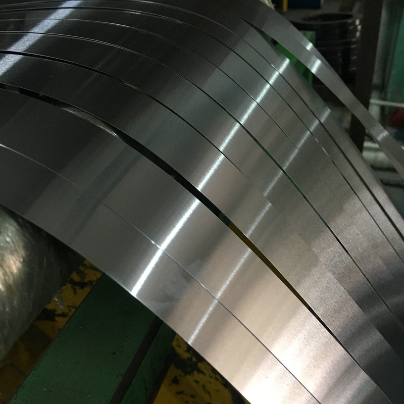 Stainless Steel Strips