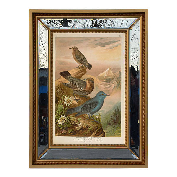 Picture Frame