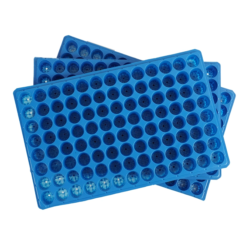 104 Holes Seedling Tray