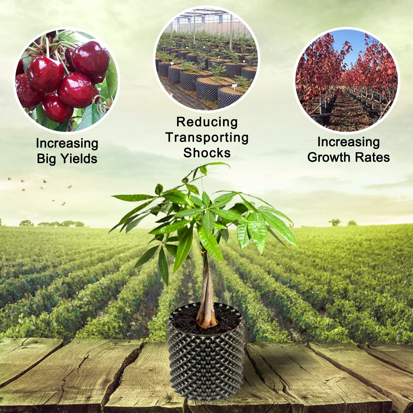 The correct use of a Air root pot