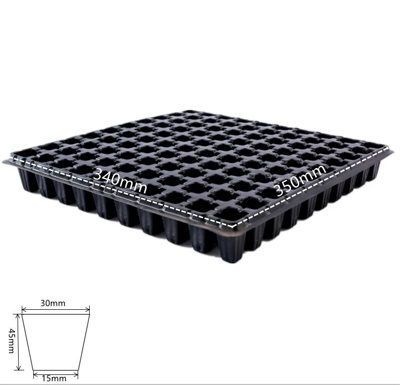 100 Holes Seedling Tray