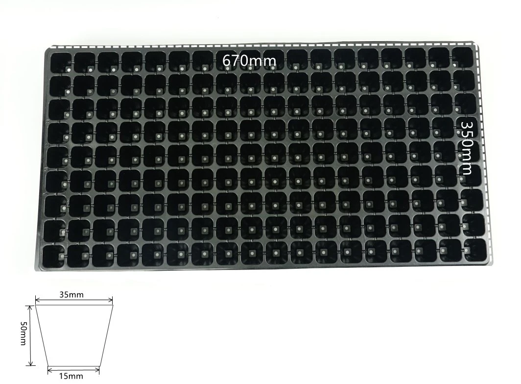 162 Holes Seedling Tray