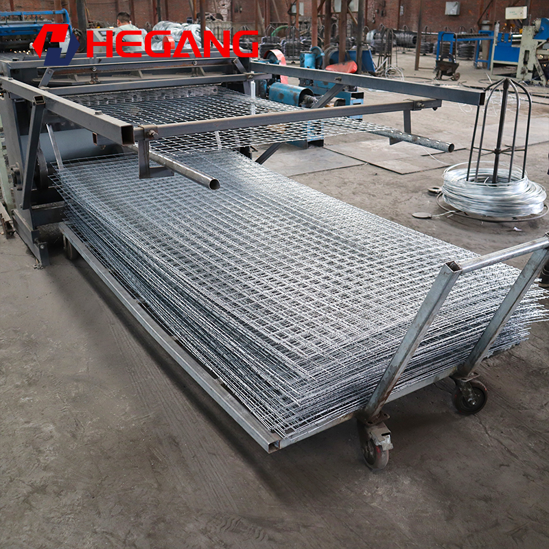 Welded Wire Mesh