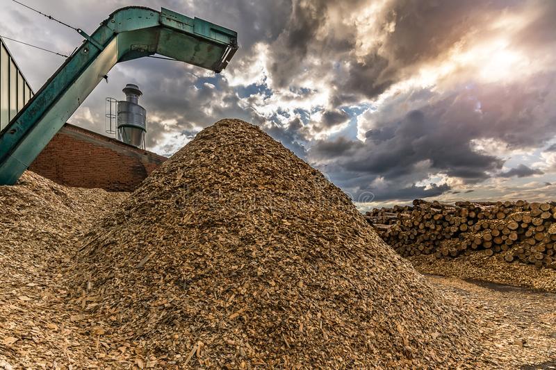 crushing-machine-wood-logs-to-process-waste-transf