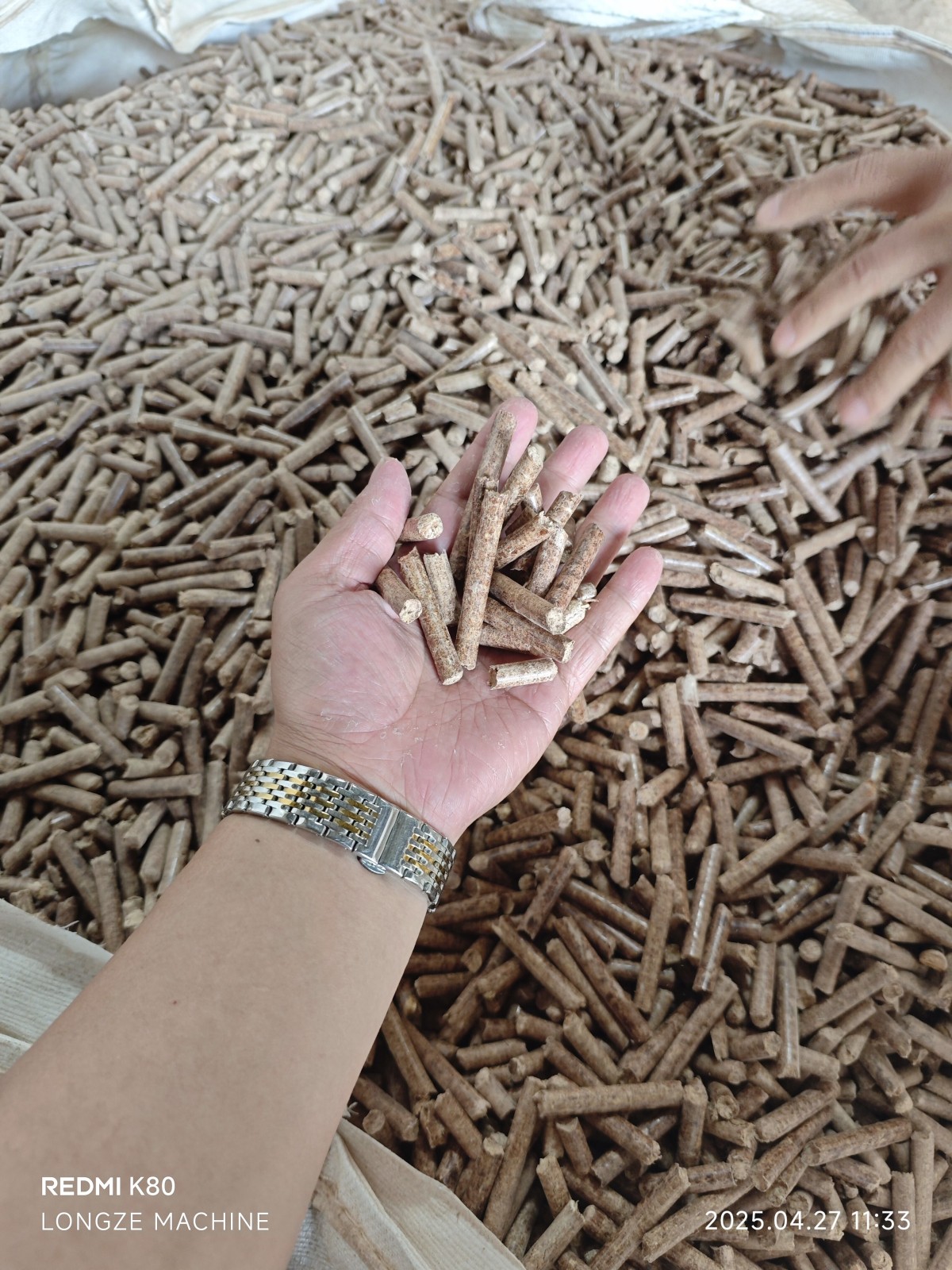 IMG_20250427_113320.jpg IMG_20250427_113320.jpg