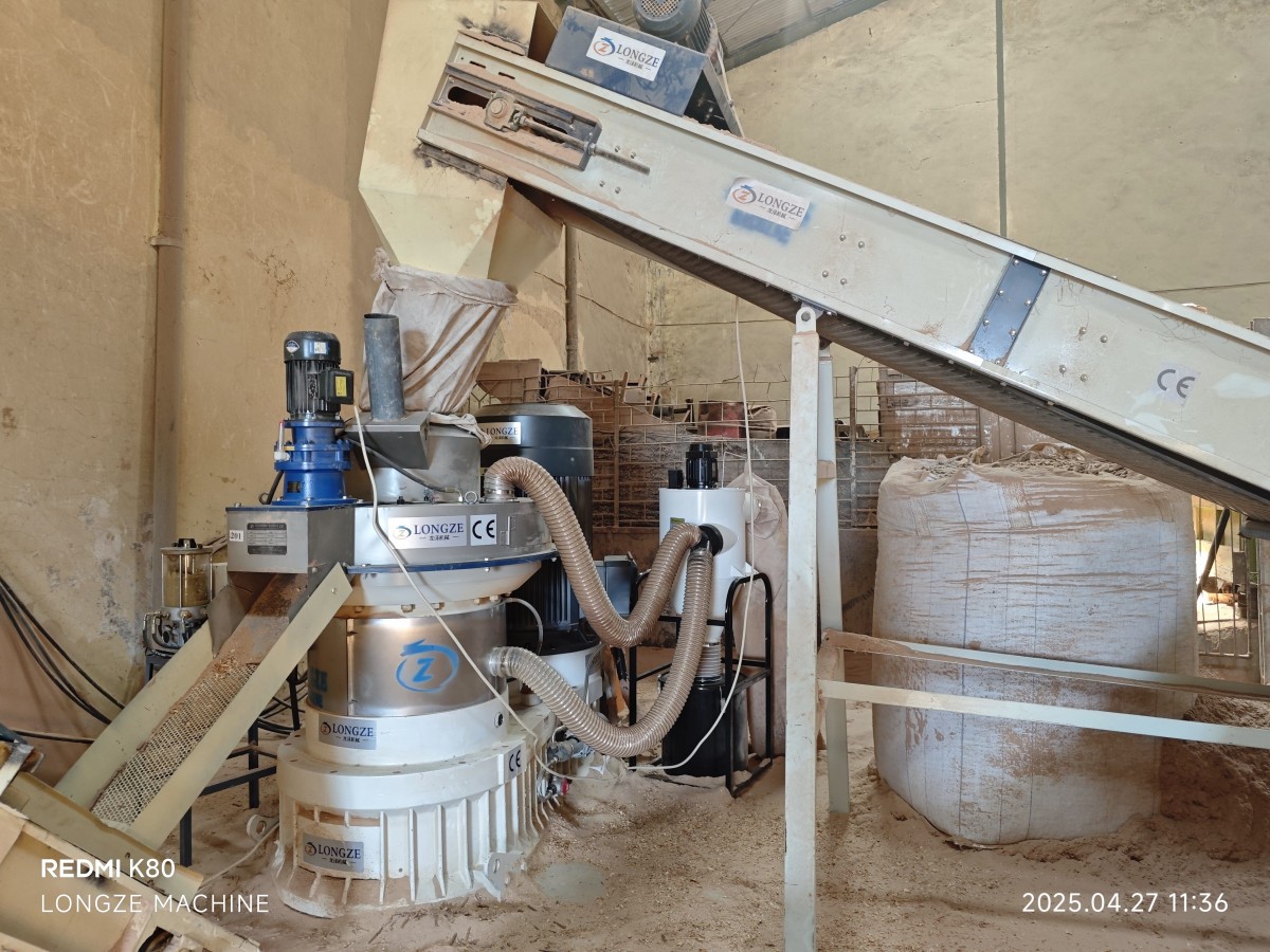 IMG_20250427_113621.jpg IMG_20250427_113621.jpg