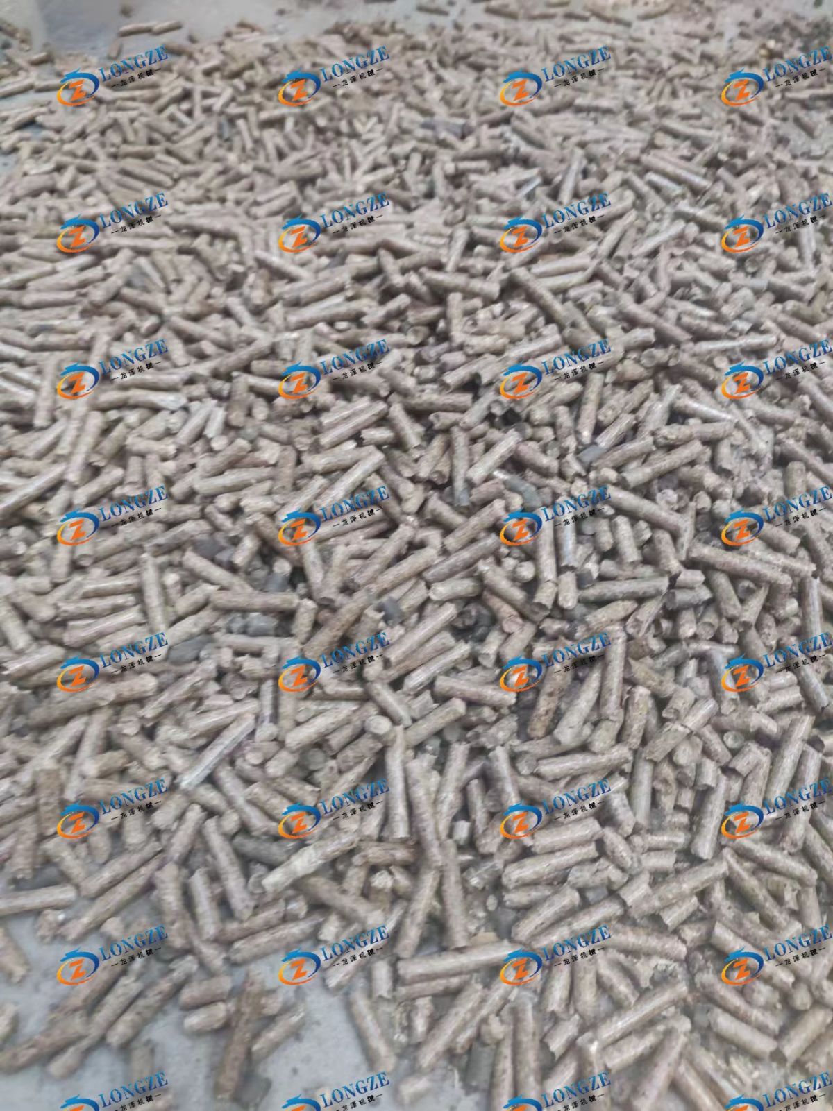 微信图片_202401300934362