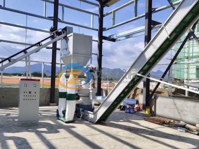 2T Wood Pellet Line-INDIA