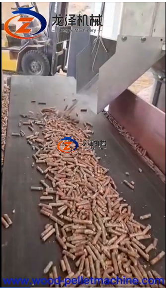 FEEDBACK VIDEO OF 132KW PELLET MACHINE IN INDONESIA