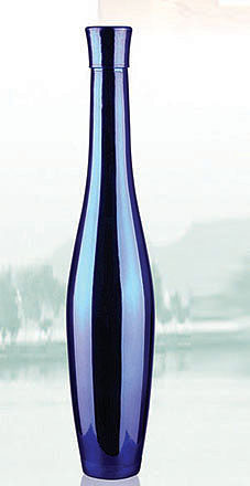 DD-009