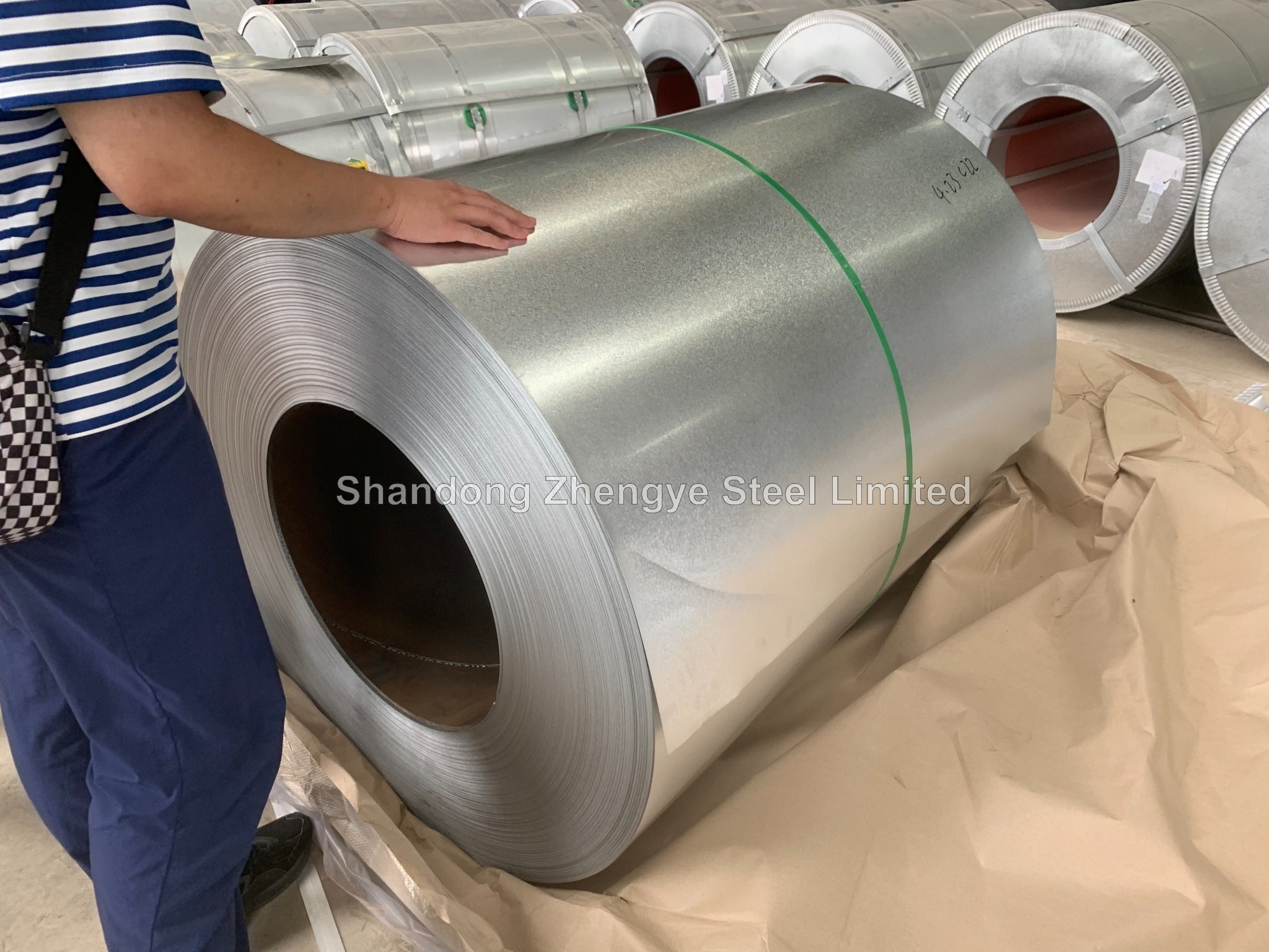 Galvanized Steel Coil