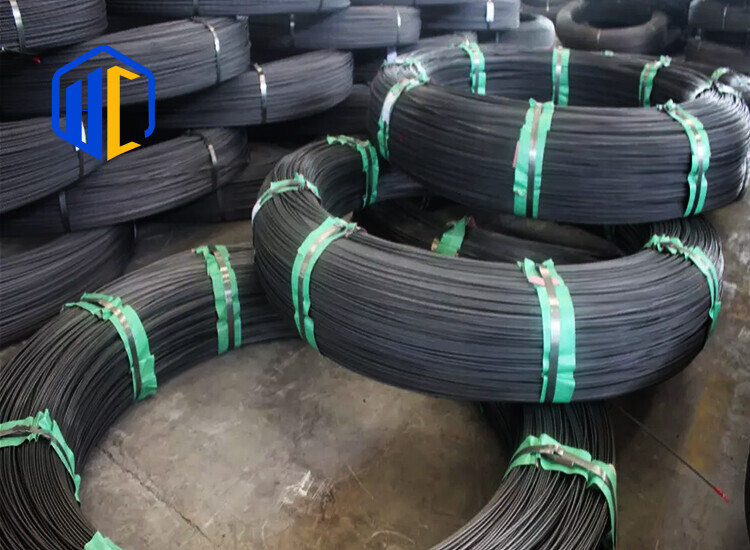 AISI Carbon steel wire rope