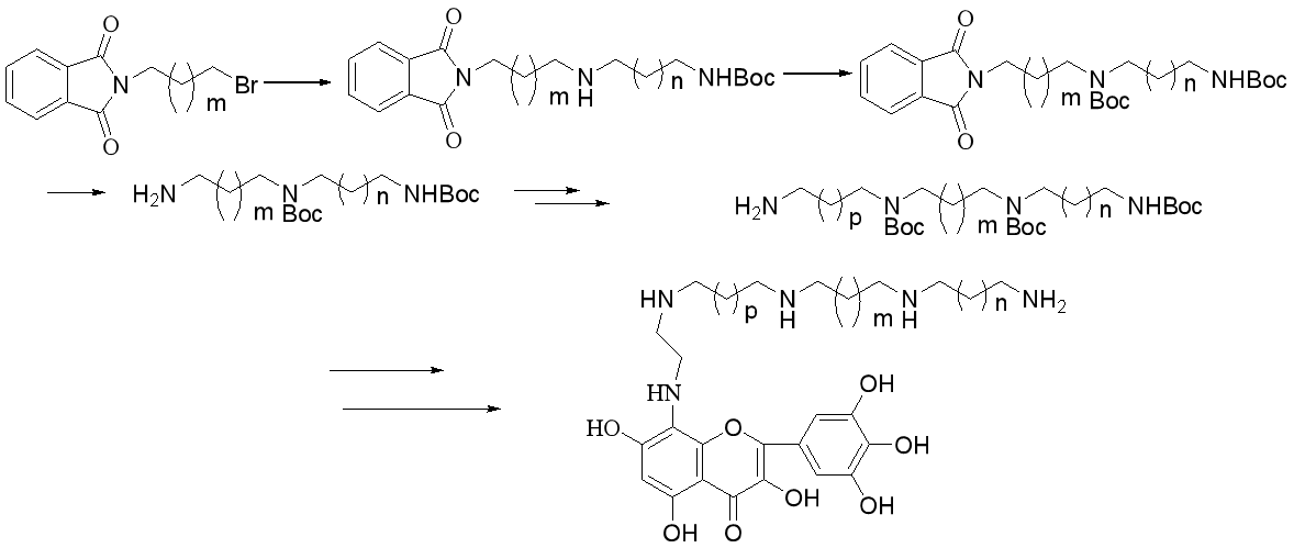 フタルイミド-図 7.png