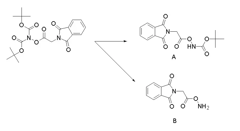 BisBocamine-Figure 2.png