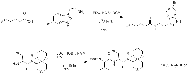酰化反应-图7.png