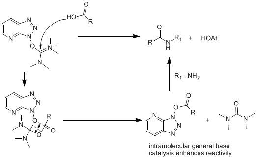 酰化反应-图9.png