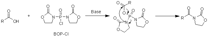 酰化反应-图12.png